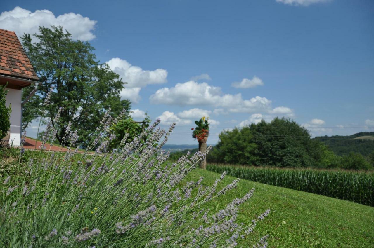 S´ Kellerstöckl Ferienhaus